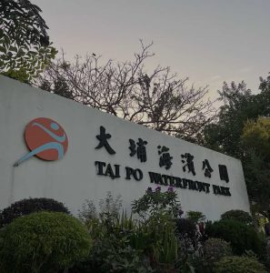 大埔海濱公園